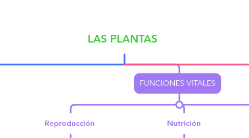 Mind Map: LAS PLANTAS