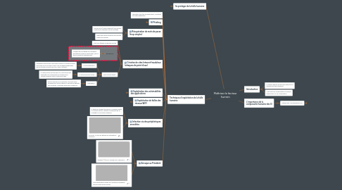 Mind Map: Maîtriser le facteur humain