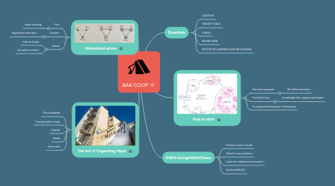 Mind Map: BAK COOP