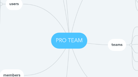 Mind Map: PRO TEAM