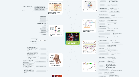 Mind Map: Enfermedades inmunológicas (1)