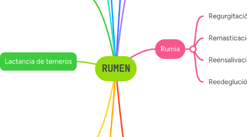 Mind Map: RUMEN