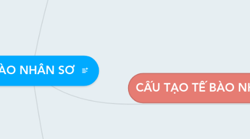 Mind Map: TẾ BÀO NHÂN SƠ