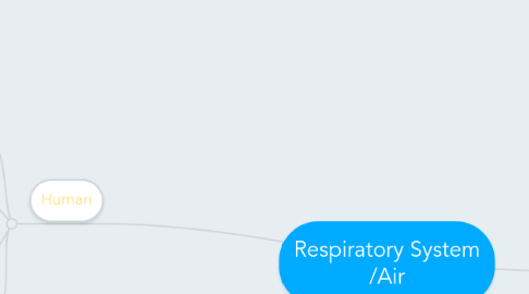 Mind Map: Respiratory System /Air