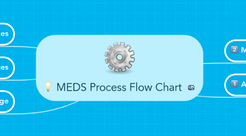 Mind Map: MEDS Process Flow Chart