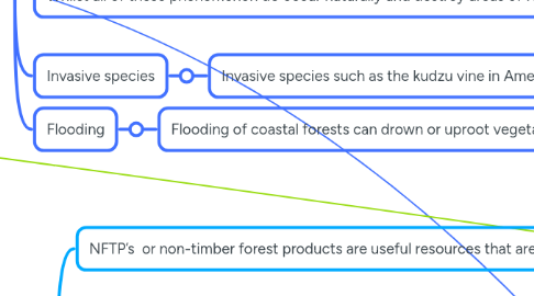Mind Map: Deforestation