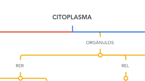 Mind Map: CITOPLASMA