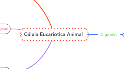Mind Map: Célula Eucariótica Animal
