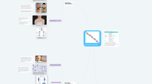 Mind Map: Enfermedades genéticas.
