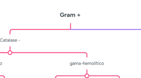 Mind Map: Gram +