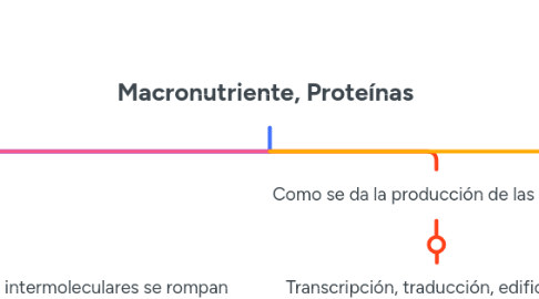 Mind Map: Macronutriente, Proteínas