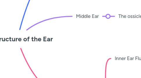 Mind Map: The Structure of the Ear
