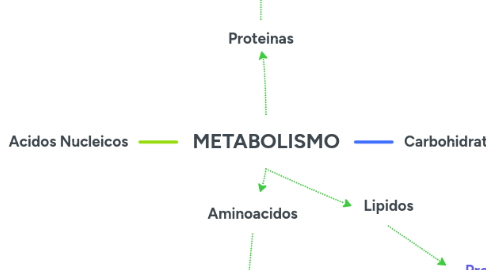 Mind Map: METABOLISMO