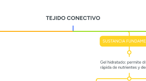 Mind Map: TEJIDO CONECTIVO