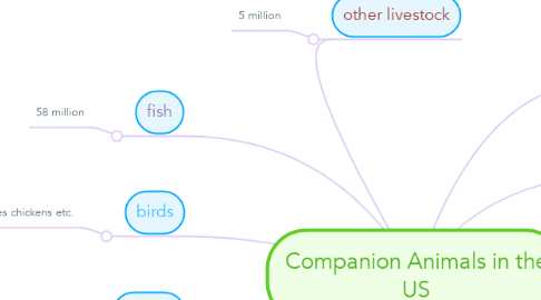 Mind Map: Companion Animals in the US