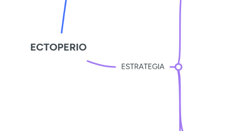 Mind Map: ECTOPERIO