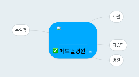 Mind Map: 메드윌병원