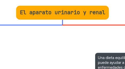 Mind Map: El aparato urinario y renal