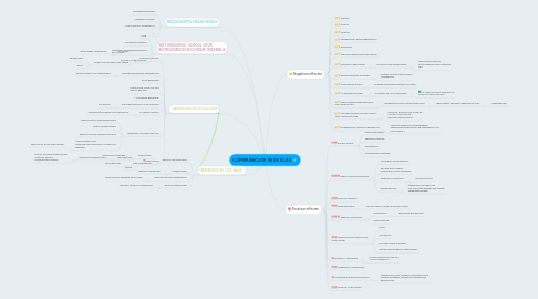 Mind Map: COMMUNICATE IN DE KLAS