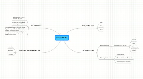 Mind Map: LAS PLANTAS