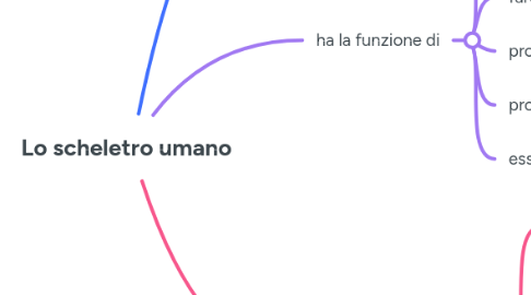 Mind Map: Lo scheletro umano