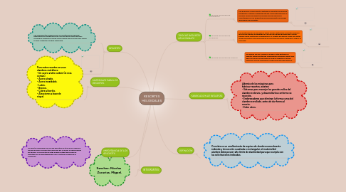 Mind Map: RESORTES HELIOIDALES