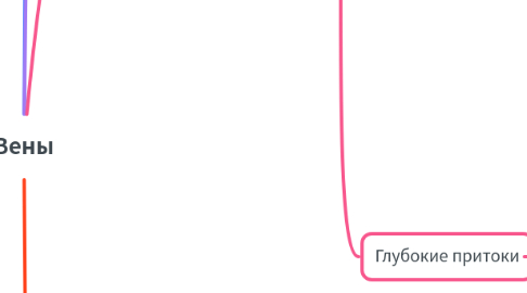 Mind Map: Вены