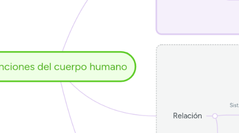 Mind Map: Funciones del cuerpo humano