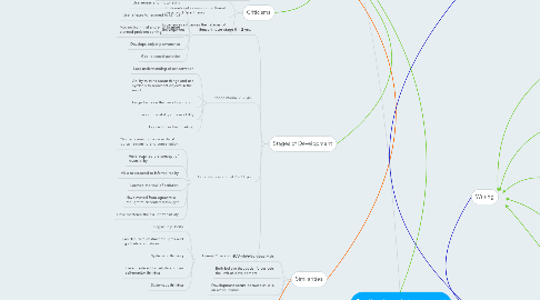 Mind Map: Scaffolding of theories and strategies