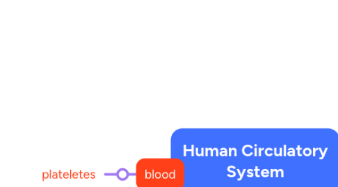 Mind Map: Human Circulatory System