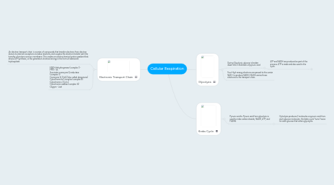 Mind Map: Cellular Respiration