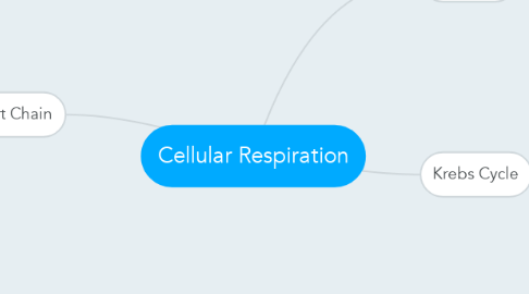 Mind Map: Cellular Respiration