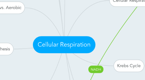 Mind Map: Cellular Respiration