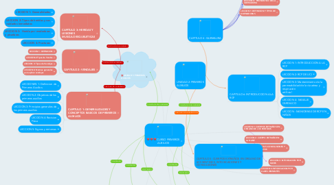 Mind Map: CURSO PRIMEROS AUXILIOS