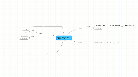 Mind Map: information systems