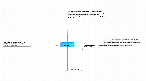 Mind Map: PROGRAMMAZIONE COMPUTERIZZATA