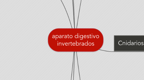 Mind Map: aparato digestivo invertebrados