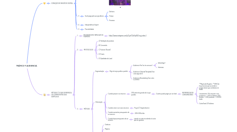 Mind Map: TRÁFICO Y AUDIENCIA