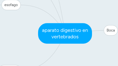 Mind Map: aparato digestivo en vertebrados