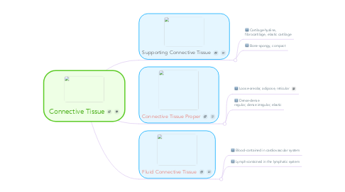 Mind Map: Connective Tissue