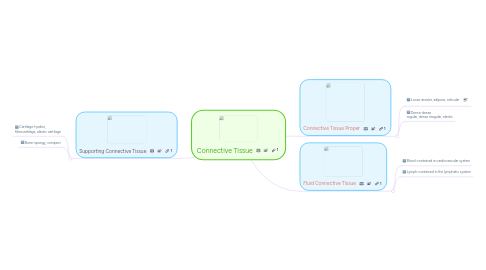 Mind Map: Connective Tissue