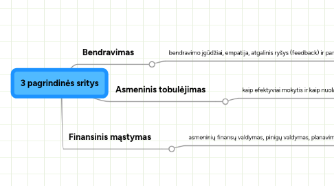 Mind Map: 3 pagrindinės sritys