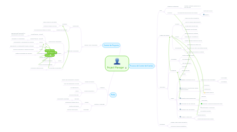 Mind Map: Project Manager