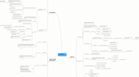 Mind Map: Hemodinamia