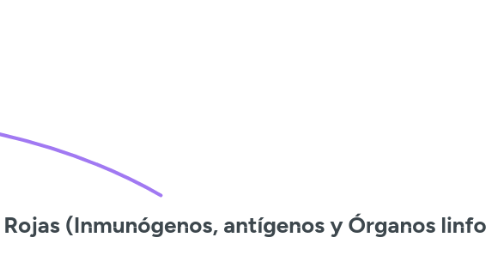 Mind Map: Inmunología de Rojas (Inmunógenos, antígenos y Órganos linfoides)