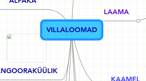Mind Map: VILLALOOMAD