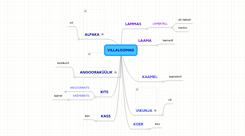 Mind Map: VILLALOOMAD