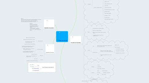 Mind Map: Projet reportage
