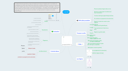 Mind Map: Les sapins de Noël