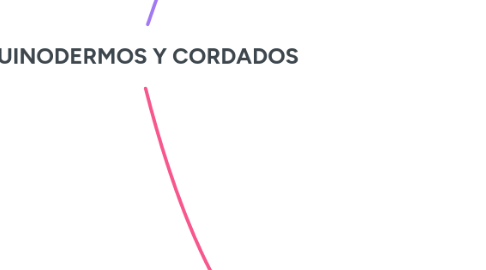 Mind Map: EQUINODERMOS Y CORDADOS